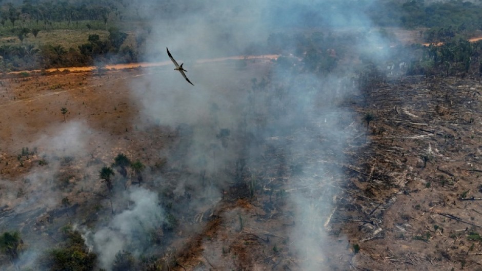 Illegal burning of the Amazon rainforest near Humaita, in the northern Brazilian state of Amazonas, in September 2024