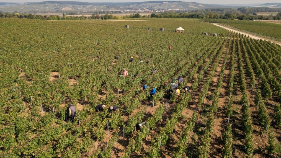 More than 50 migrant harvesters lived in accommodation that posed a danger to their 'security, health and dignity', according to investigators