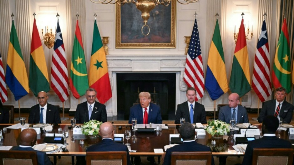 US President Donald Trump (C) speaks during a multilateral lunch with visiting African leaders at the White House