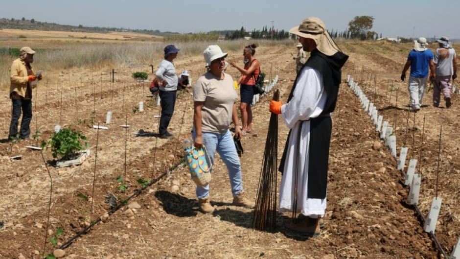 Around 30 volunteers came to help the monks of Latrun monastery replant the vines