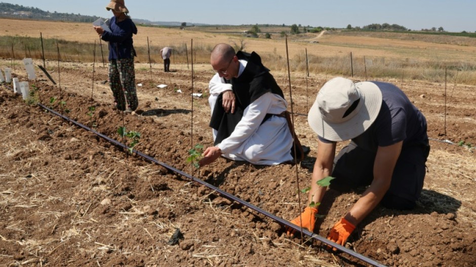Latrun's monks are Trappists, a Catholic order centred on contemplation and simplicity