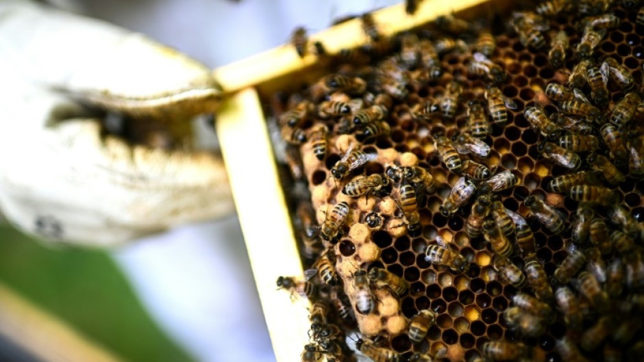 Beekeepers have described the chemical as 'a bee killer'