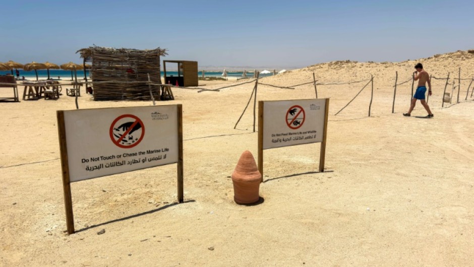 A tourist walks past signs warning people not to disturb the local marine life and wildlife at the beach at the Ras Hankorab
