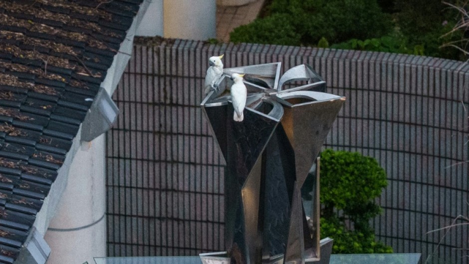 Two yellow-crested cockatoos resting atop a statue in Hong Kong Park