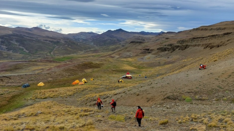 The fossil was discovered in the Rio de Las Chinas Valley in the Magallanes region of Chile
