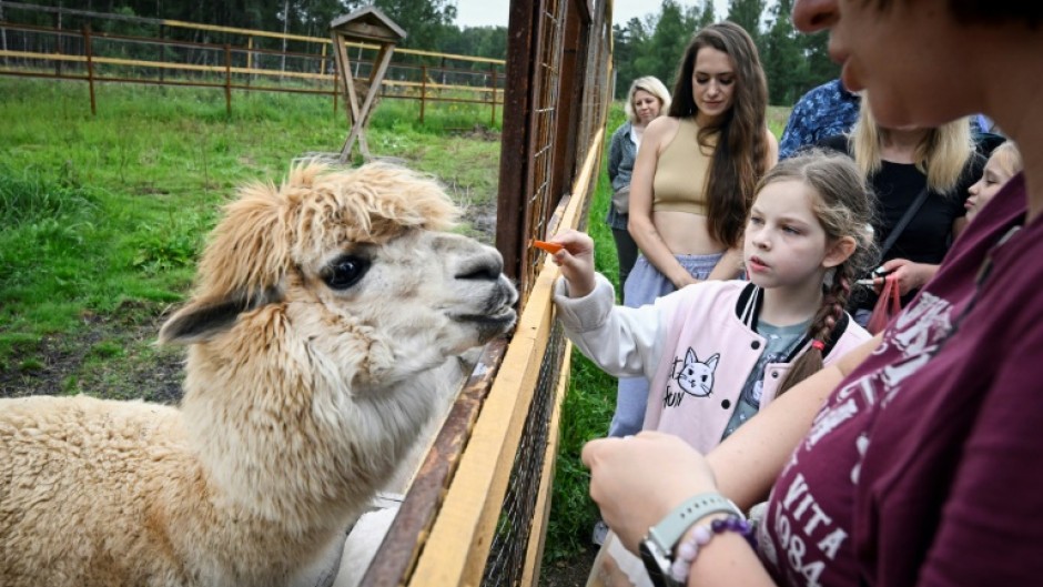Despite the crackdown on dissent, activists opposed to the highway have sought to appeal to President Vladimir Putin to help their cause