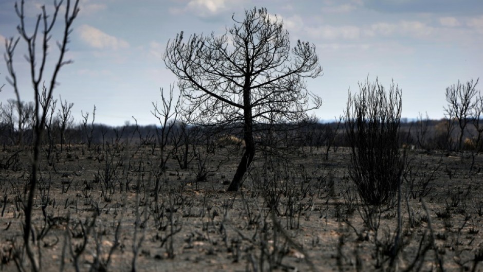 The August heatwave exacerbated tinderbox conditions that have fuelled deadly wildfires