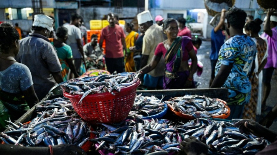Fishermen wait for customers at the Kasimedu harbour in Chennai