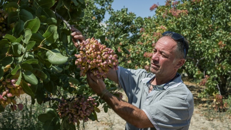 Thanasis Lakkos, 53, says fellow producers fear they are "the last generation"