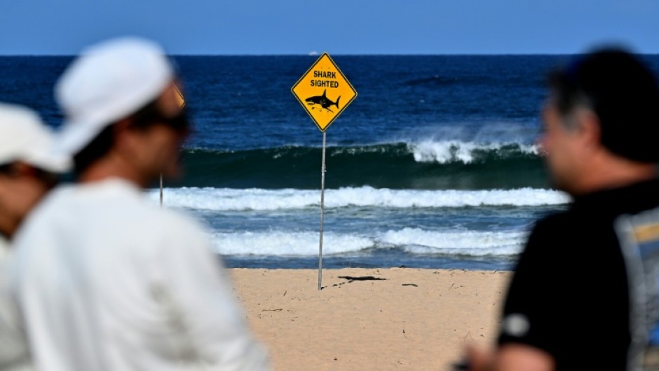 It was the first fatal shark attack in Sydney since 2022, when 35-year-old British diving instructor Simon Nellist was killed off Little Bay