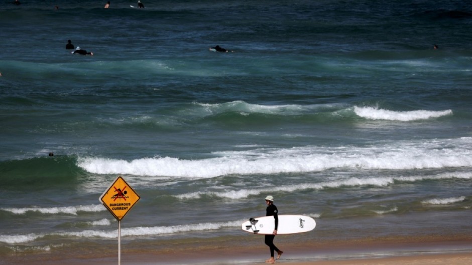 One day after a deadly shark attack in Sydney, surfers ride the waves at the city's Bondi Beach