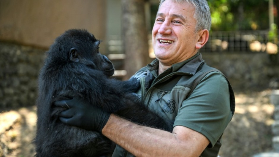 Fahrettin Ulu, regional director of Istanbul's Nature Conservation and National Parks directorate said it was the first time a gorilla had been seized at Istanbul airport