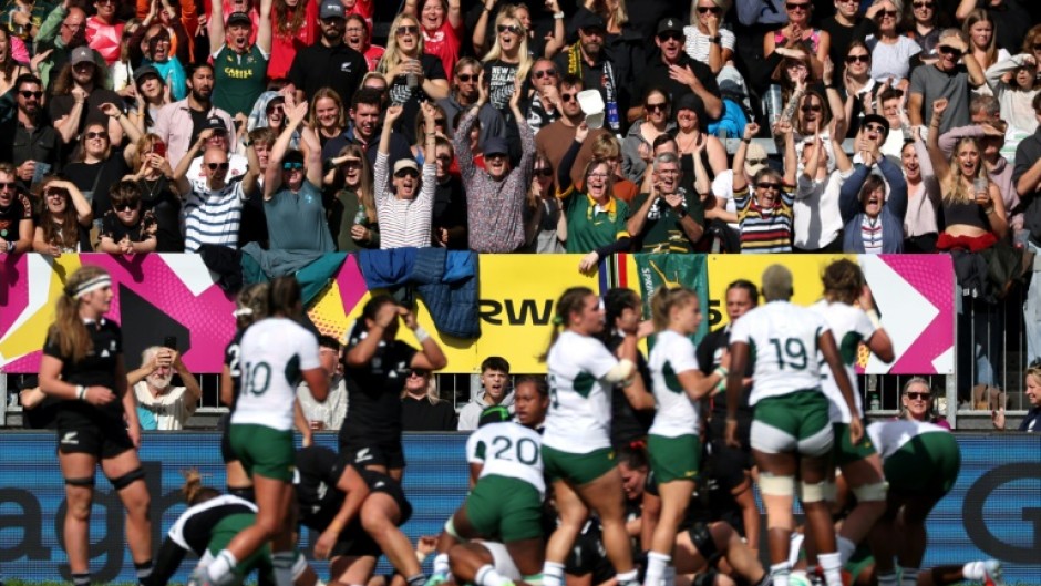 South Africa fans react to a try by their side against New Zealand