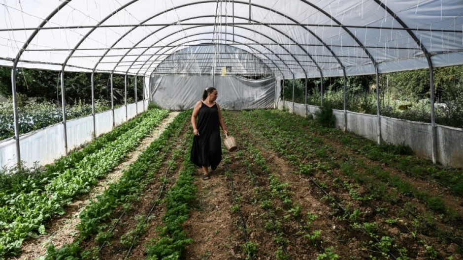 Anna Aivazidi says the EU farm subsidy scandal has affected real farmers in Greece
