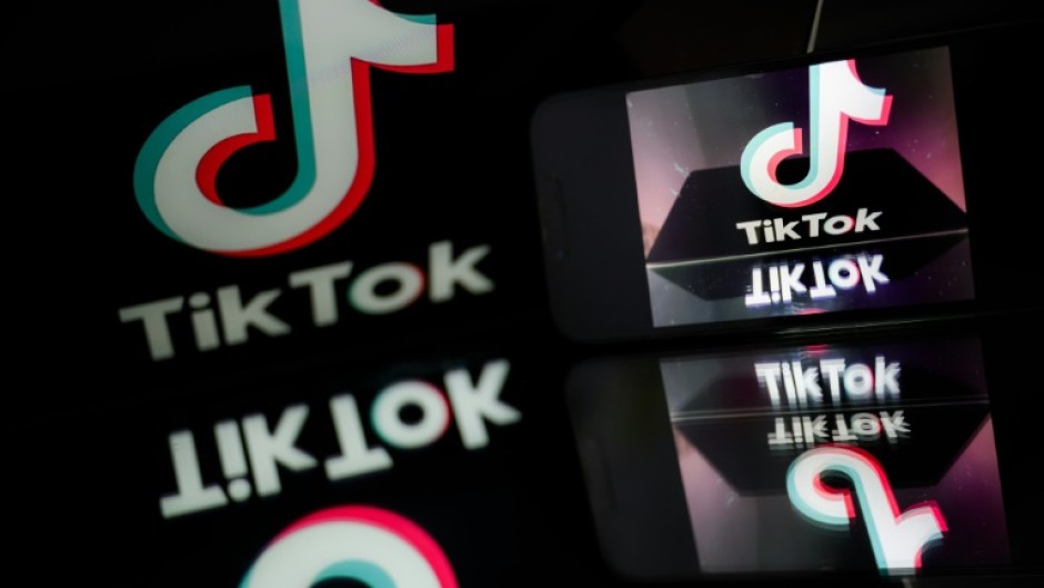 French lawmakers have expressed particular concerns about harms posed by TikTok as they called for a 'digital curfew' for minors