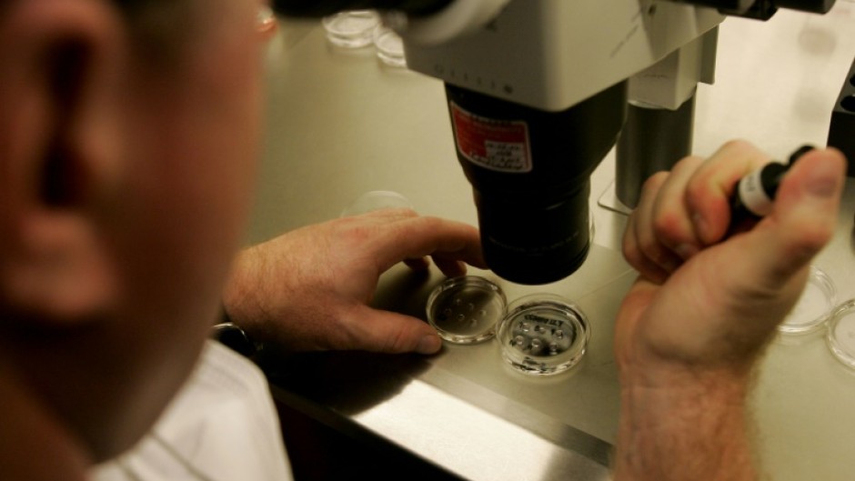 Could scientists creating human egg cells in the lab end infertility as we know it?