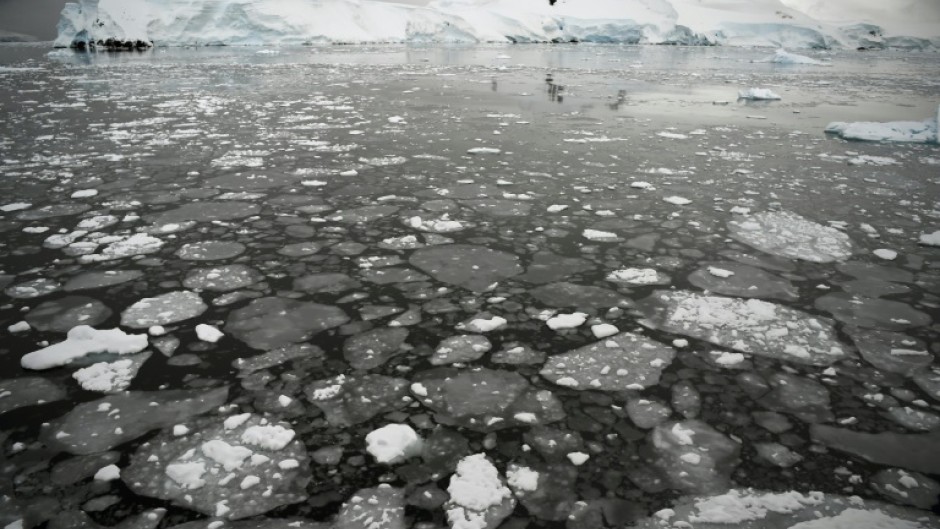 Ice floating on the surface of the sea in the western Antarctic peninsula in 2016