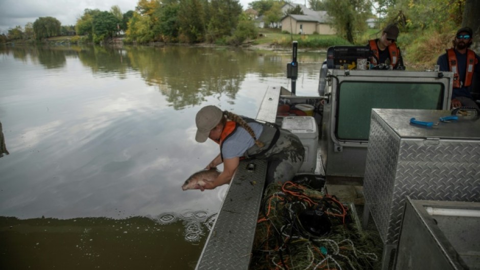 A team from Canada's fisheries ministry patrols the Grand River, near Lake Erie, looking for invasive carp