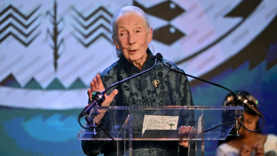 Tributes poured in for Jane Goodall from across the conservation world