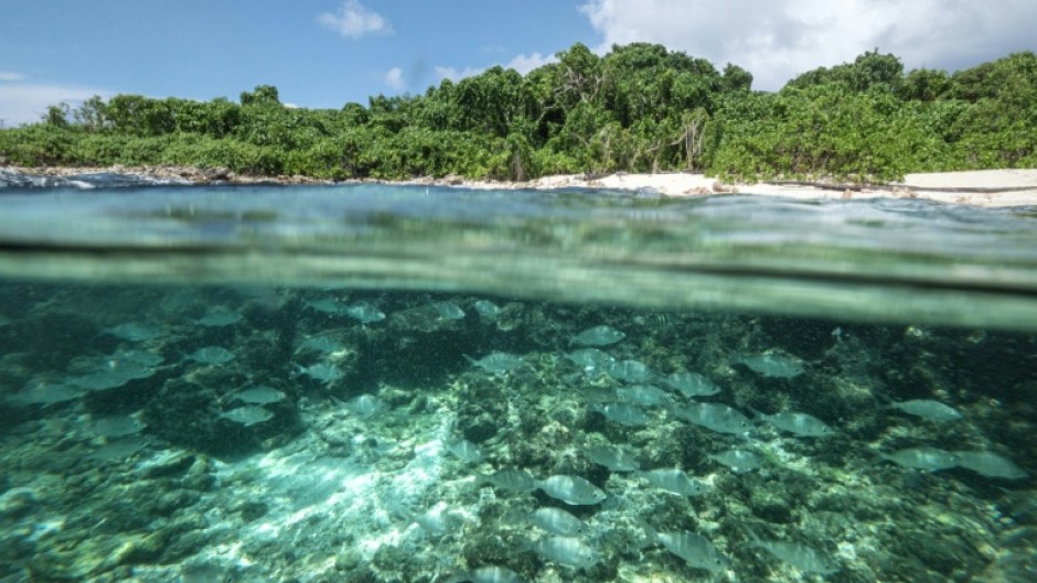 Seychelles has the highest wealth per capita in Africa -- around $18,000 according to the World Bank -- but is vulnerable to climate change