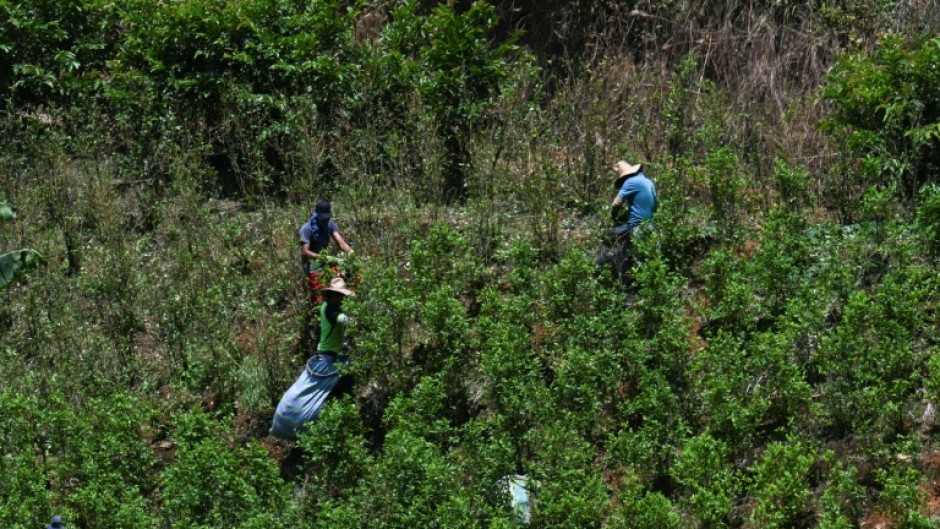 More Latin American drugs are exported via the Pacific than the Caribbean -- the main focus of US strikes so far