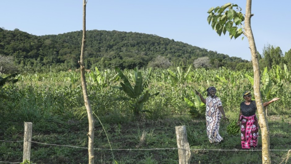 Locals are divided on how to benefit from interest in Mrima Hill's minerals