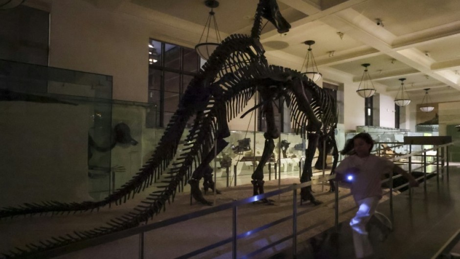 Children participate in a flashlight tour in the fossils exhibit during 'A Night at the Museum' at the American Museum of Natural History in New York City