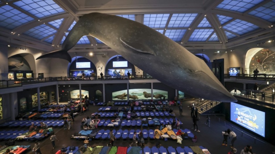 Children and caregivers sleep under a giant model of a blue whale at the American Museum of Natural History