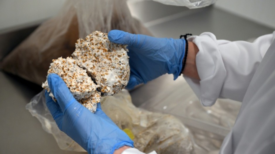 Belgian start-up Permafungi is pitching mushroom-based packaging as a fully biodegradable alternative to polystyrene and other plastic