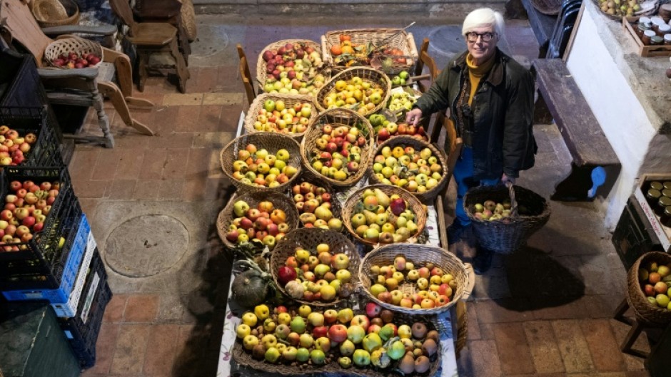Older varieties are more resilient to the challenges posed by a changing climate in a hotspot region for global warming