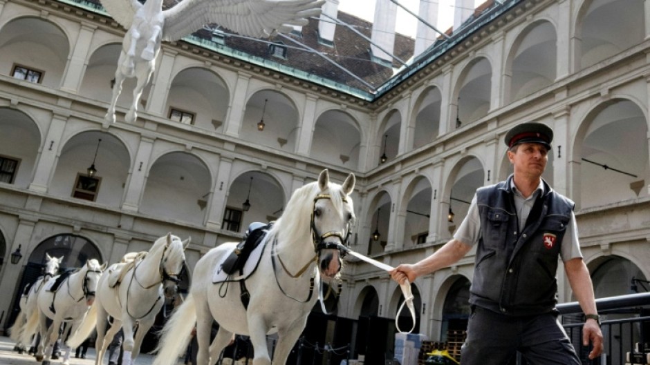 The animal abuse allegations are the latest headache for the classical dressage institution founded in 1565