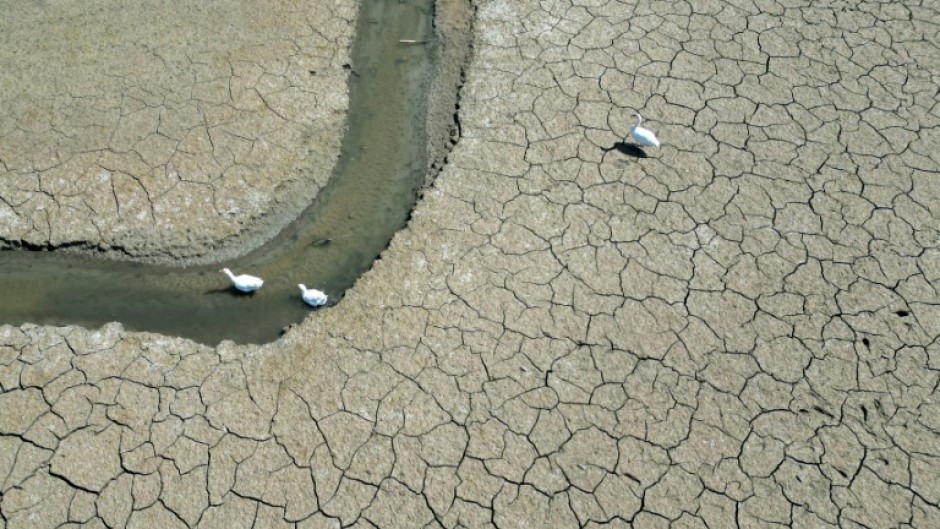 The planet is on track to log its second hottest year on record in 2025, tied with 2023