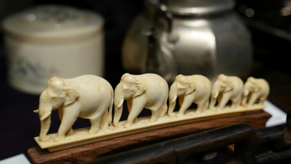 Japan denies that its national ivory market impacts elephant conservation and says it continues to 'implement strict control measures'
