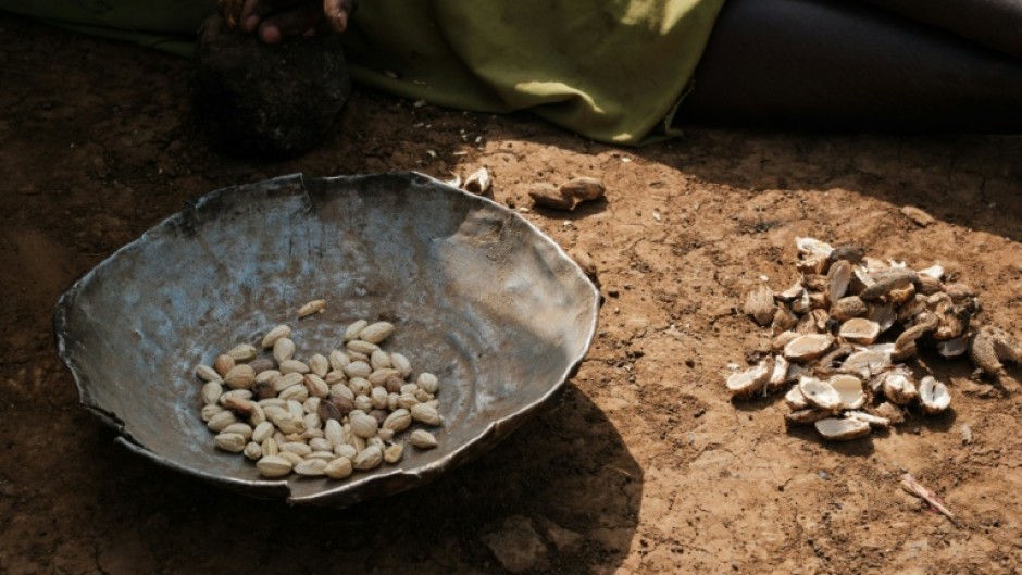 A woman sorts the fruit of the kudra plant to prepare a meal at a camp for displaced people in Kadugli