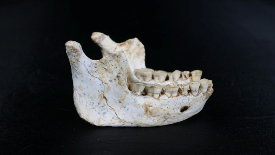 The 773,000-year-old lower jawbone found in Morocco
