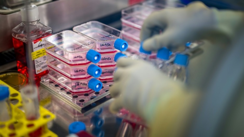 A long rehabilitation process follows the complex graft procedure