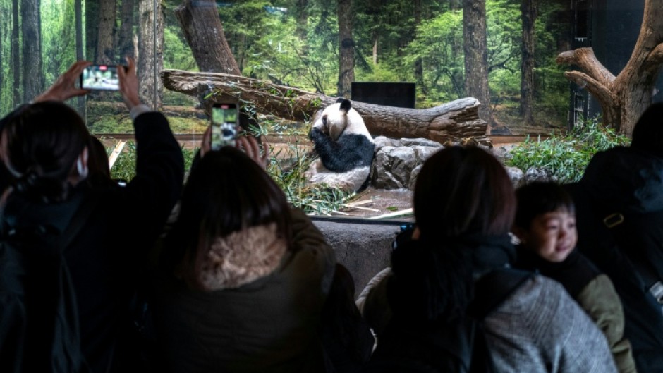 Popular panda twins Lei Lei and Xiao Xiao will depart from a Tokyo zoo for China, leaving Japan without any of the beloved bears for the first time in more than 50 years