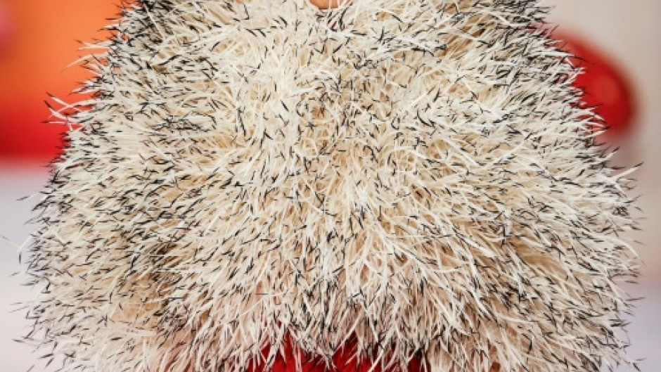 A model presents a creation for Chanel for Women's Haute Couture Spring/Summer 2026 collection