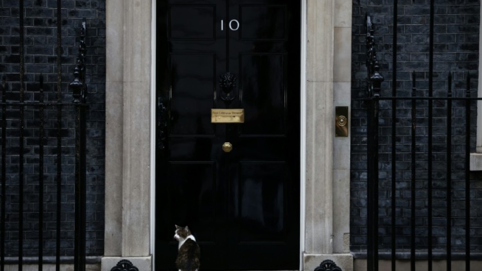 Larry waits to be let in at the door of No. 10 Downing Street, the official residence of Britain's prime minister