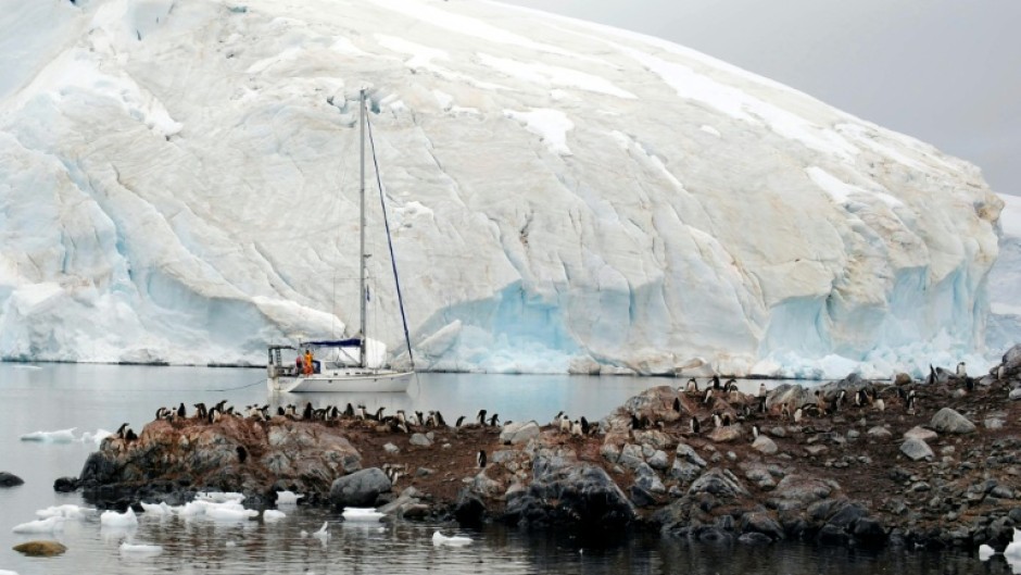 In a recent expedition to Antarctica, new cases of avian flu were discovered in Antarctic cormorants, kelp gulls, Adelie and gentoo penguins, and Antarctic fur seals, according to researcher Victor Neira