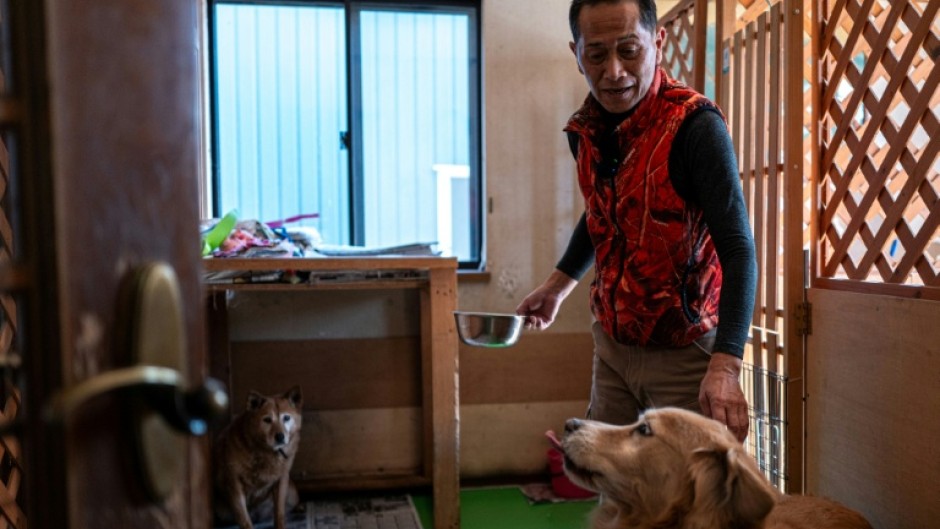 Not far from the Fukushima nuclear disaster site, former plant worker Toru Akama tends to dozens of pets abandoned after the catastrophe 15 years ago