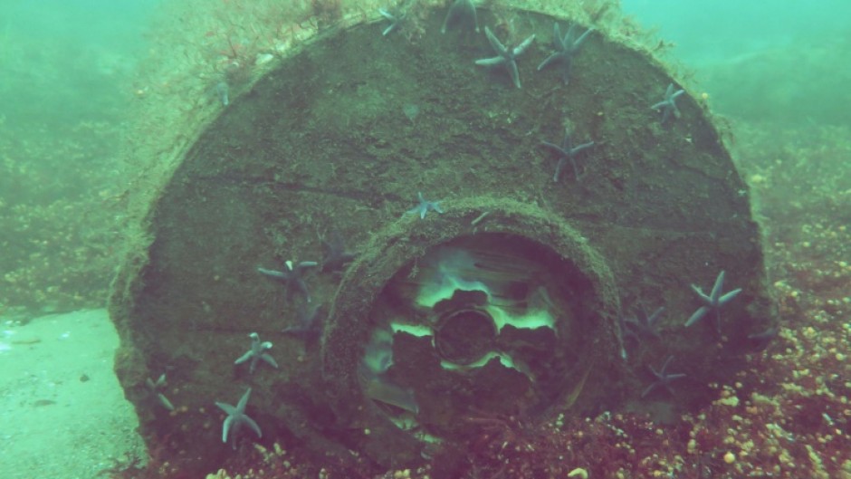 A WWII-era depth charge on the seafloor in a photo made available by the Kiel-based GEOMAR oceanographic research centre
