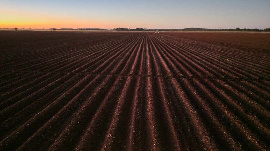 Zimbabwe launched land reforms in 2000, seizing land from white commercial farmers