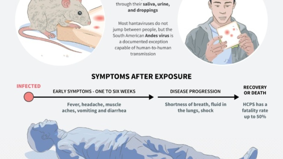 Hantavirus