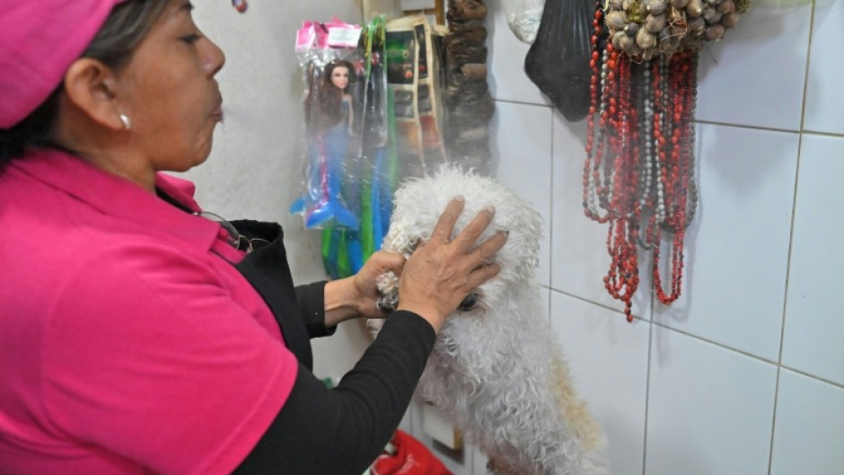 Ecuadorean curandera Amparo Lugmana blows undiluted alcohol during a ritual of energy cleansing on the dog Copito at the San Francisco market in Quito