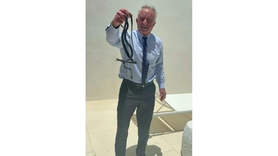 US Secretary of Health Robert F. Kennedy Jr. grabs two snakes with his bare hands, the latest example of his adventures involving animals