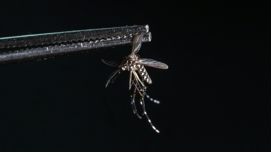 Mosquitoes and the diseases they transmit are a growing concern as climate change expands the area the insects roam