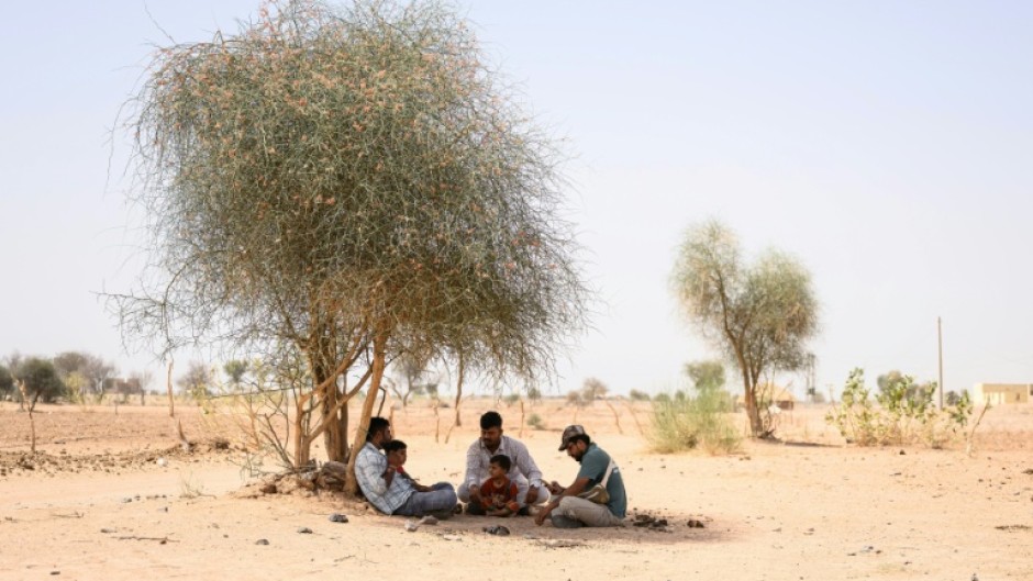 Herdsman Sawai Singh Bhati (C) sits under the shade of a tree in 44 degrees Celsius temperatures, near his house in Sanwata village, Rajasthan