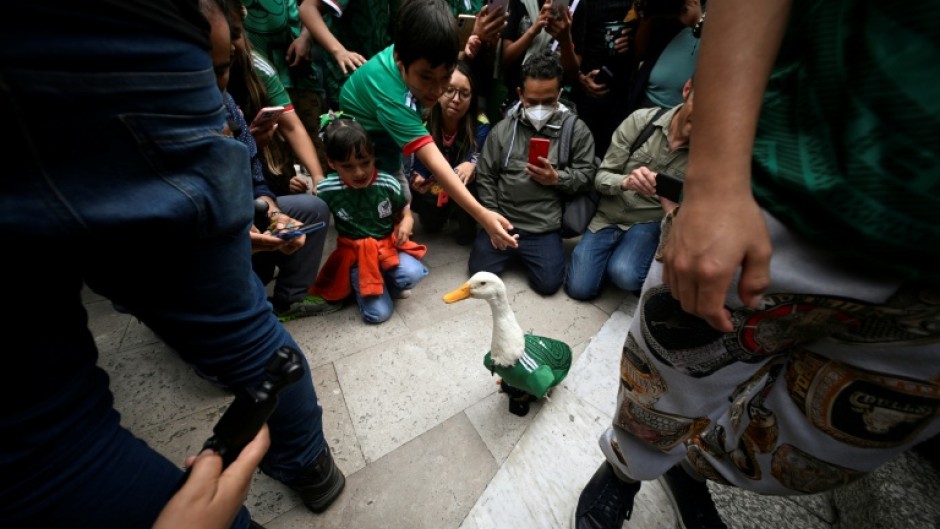 People in Mexico City gather around Merlin, a duck who has become a huge star thanks to the World Cup