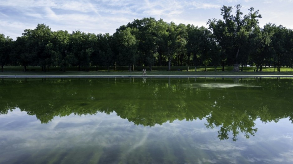 Algae is visible in the Lincoln Memorial Reflecting Pool as cleanup efforts continue where newly applied blue paint has peeled from the bottom, in Washington, DC, on June 20, 2026